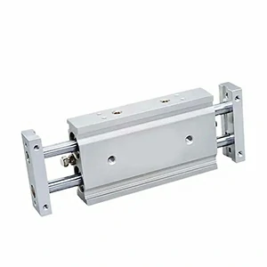 Двухштоковые пневматические цилиндры серии CXS с двойным валом