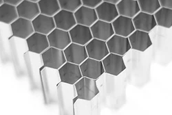 Стандартная шестиугольная структура сотовидных клеток