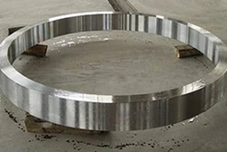6061 Large Diameter Forged Ring