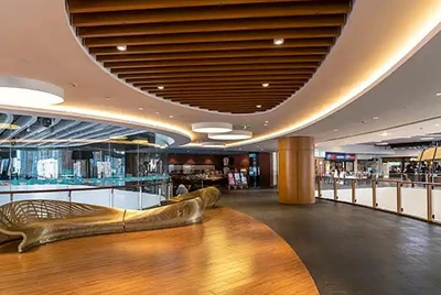 Панели АКП для внутренней декоративной отделки