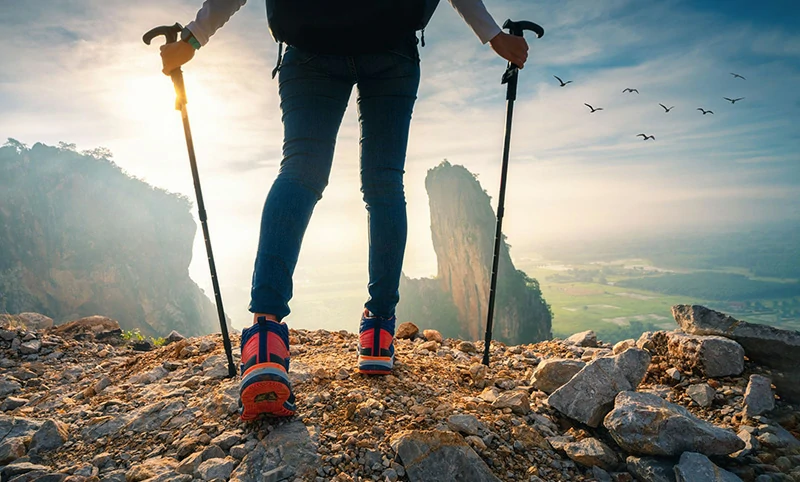 Trekking poles & tent rods