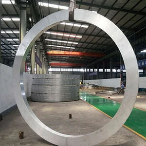 aluminum forged ring – large diameter