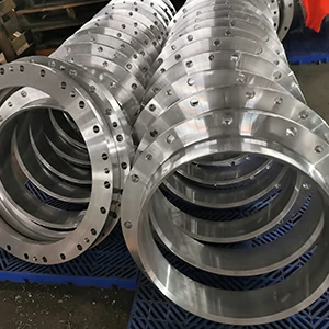 aluminum forged ring – flanged