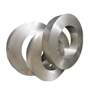 aluminum forged ring – hollow