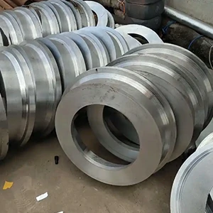 aluminum forged ring – profiled