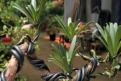 Анодированная алюминиевая проволока для бонсай