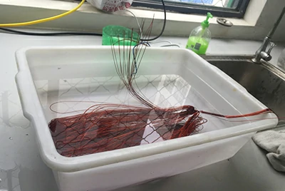 Тестирование качества